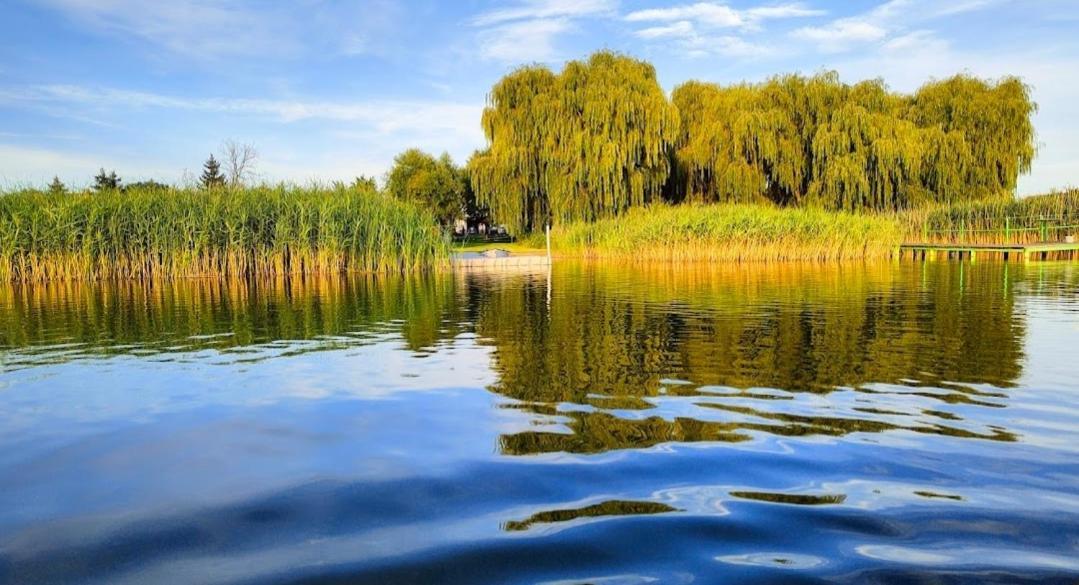 Przystan Nad Miazka Villa Sapowice Bagian luar foto